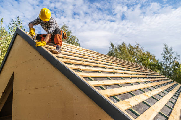 Best Roof Maintenance Services  in Beacon Hill, WA