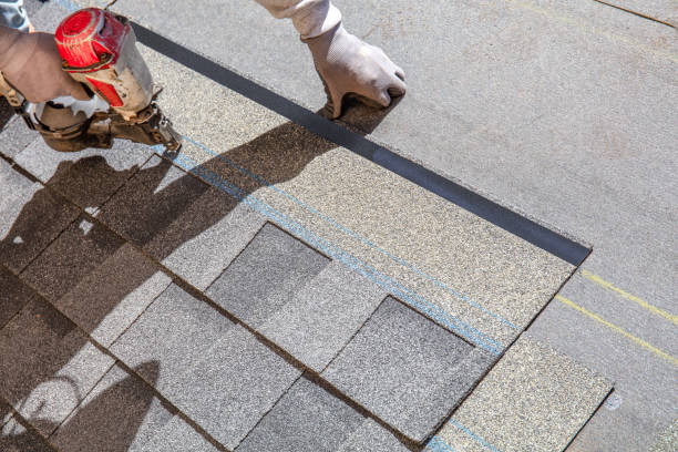 Professional Roofing Contractor in Beacon Hill, WA