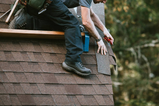 Quick and Trustworthy Emergency Roof Repair Services in Beacon Hill, WA